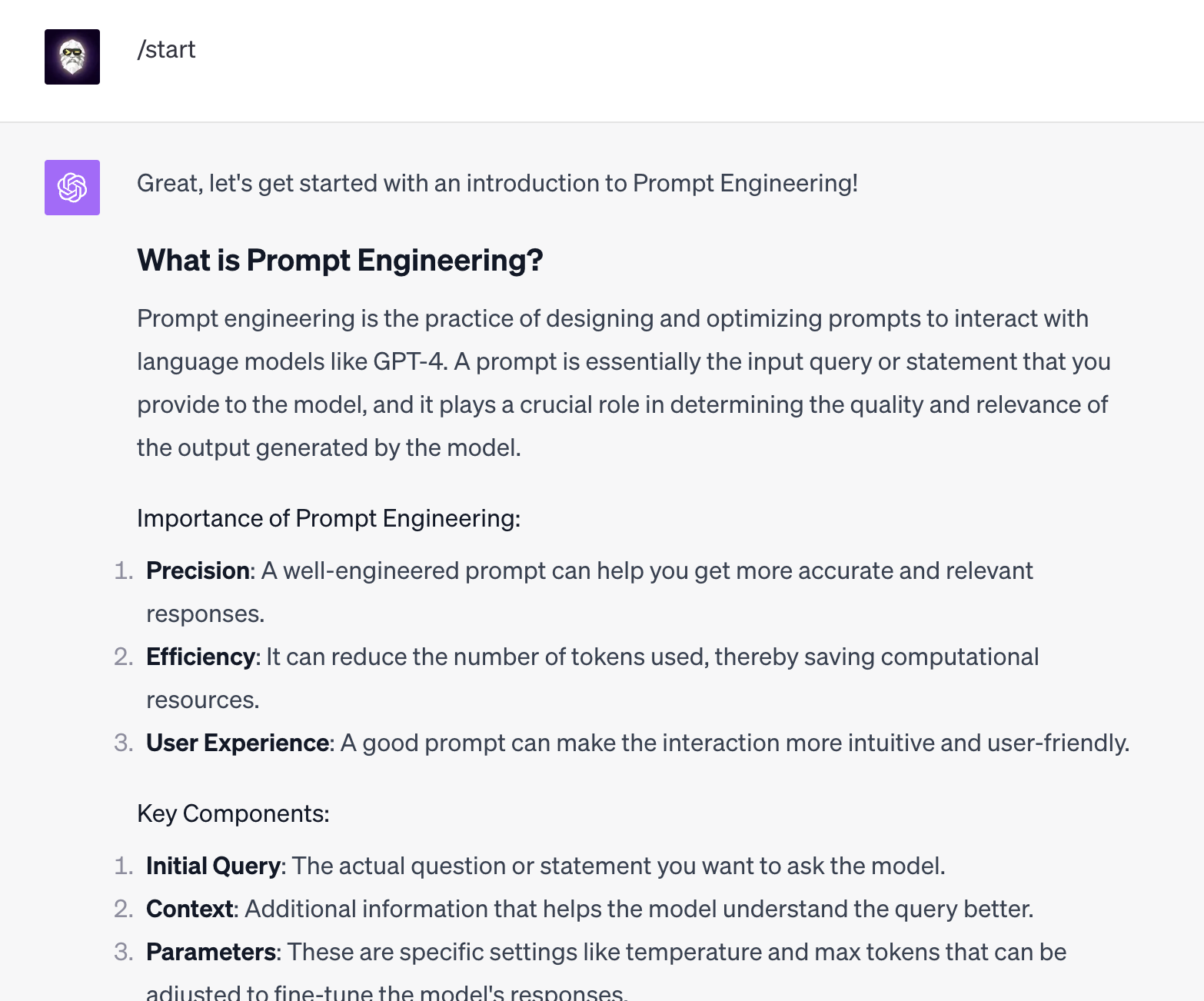 After I typed in /start, ChatGPT immediately gave me a lesson on what is Prompt Engineering.